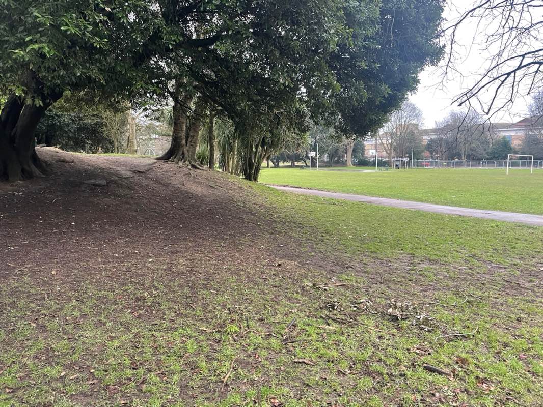 walking near me in Homefield Park in winter