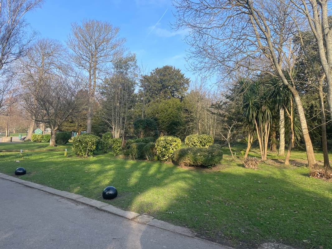 walking near me in Hotham Park in winter