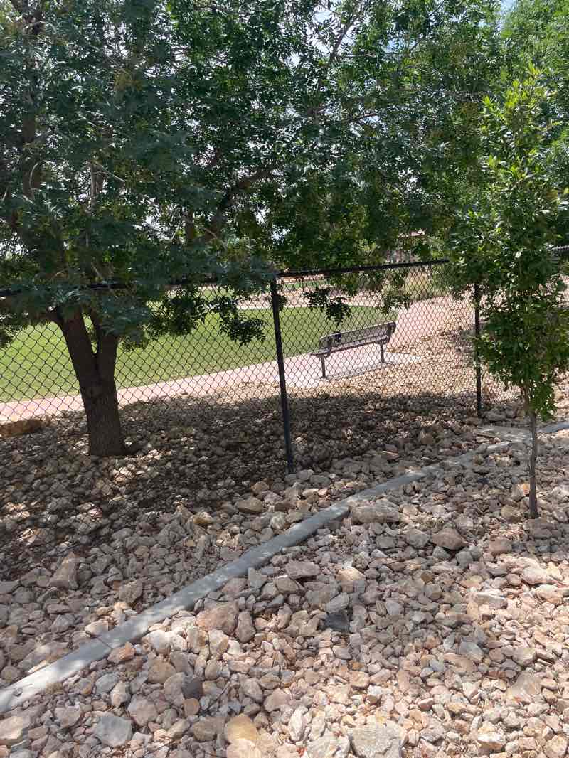 walking near me in Dog Town Park in summer