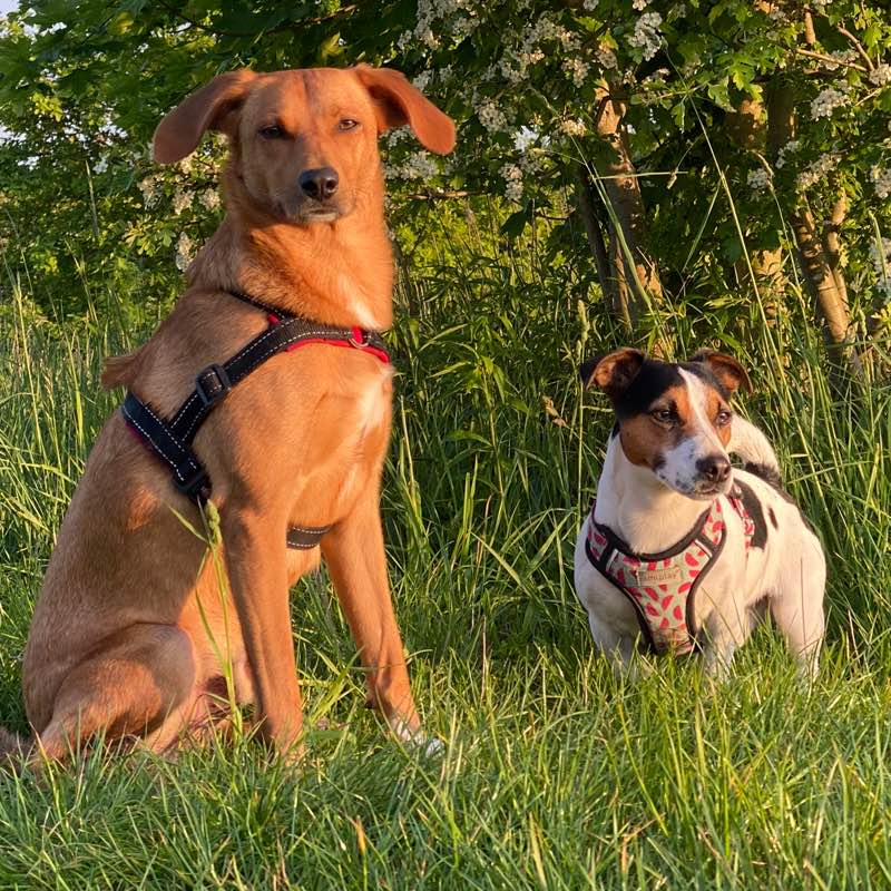 tokio_alex_team profile