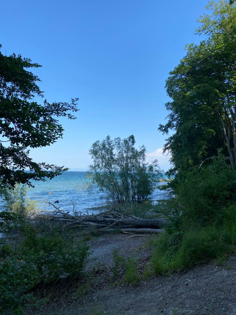 walking near me in Strandbad Horn in winter