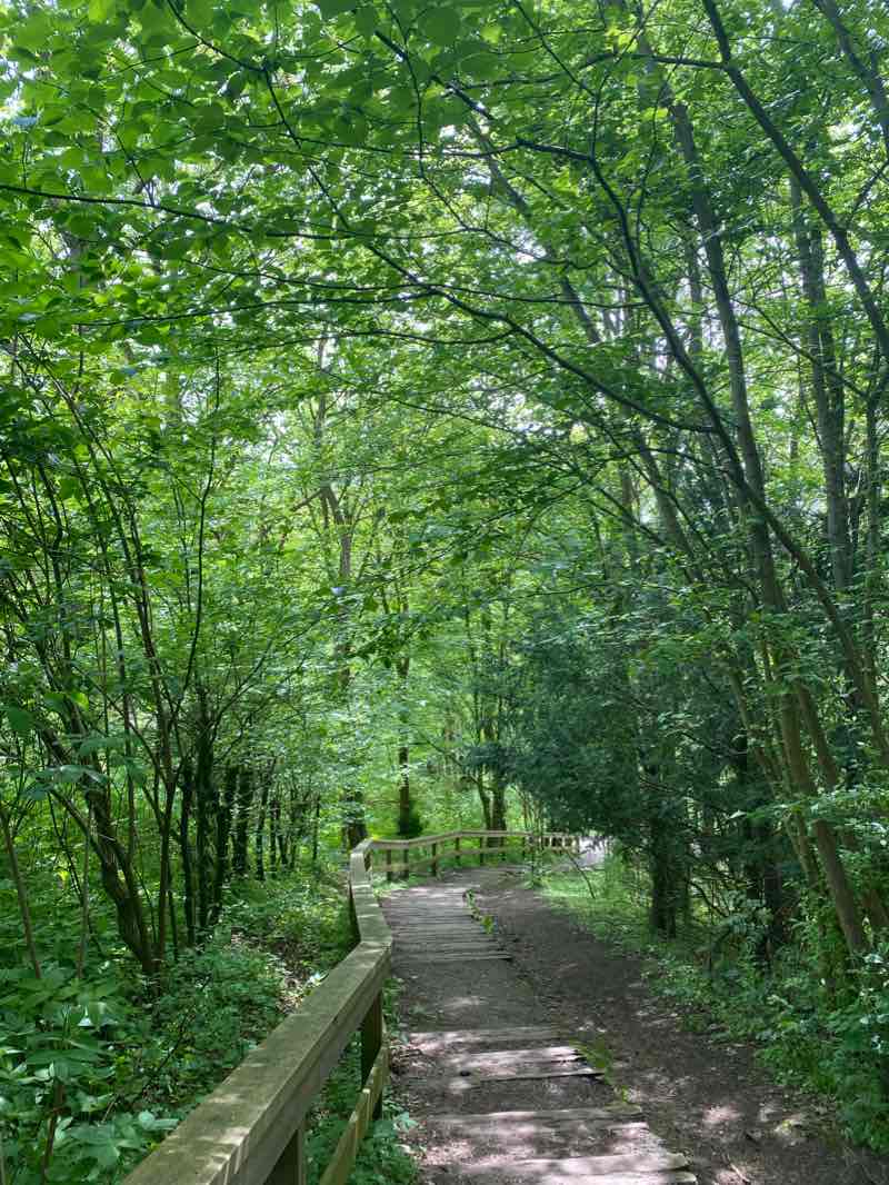 walking near me in Folkeparken in winter