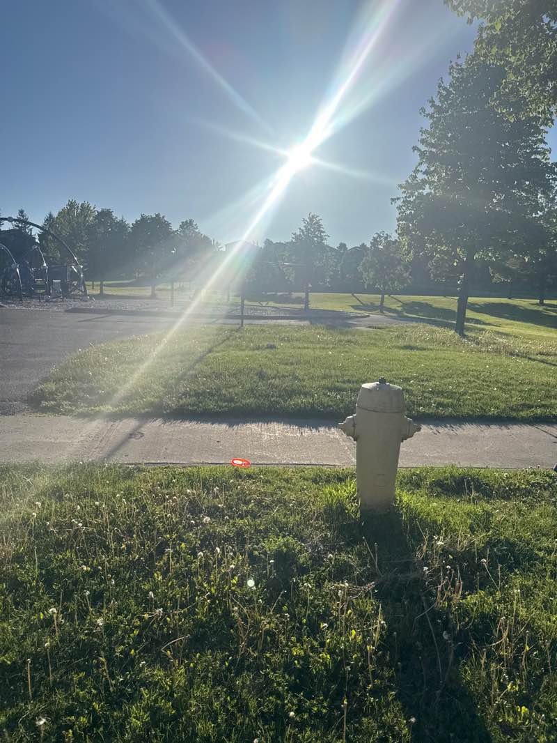 walking near me in St. Patrick Park in summer