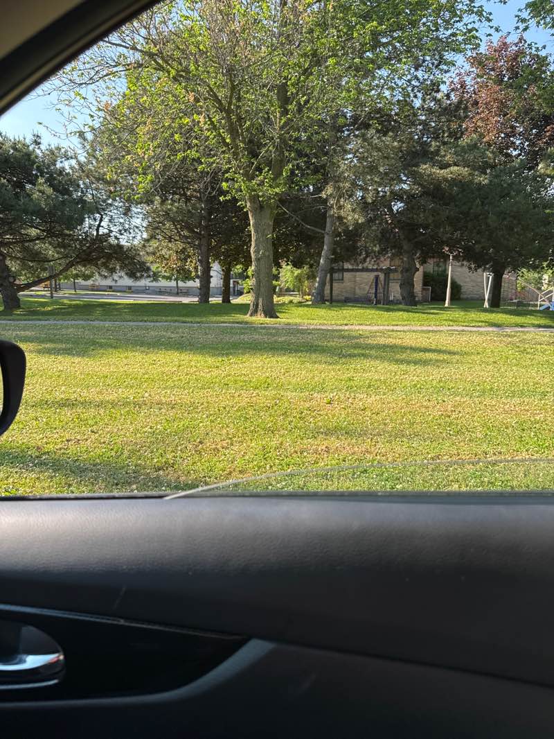 walking near me in Thornton Park in summer