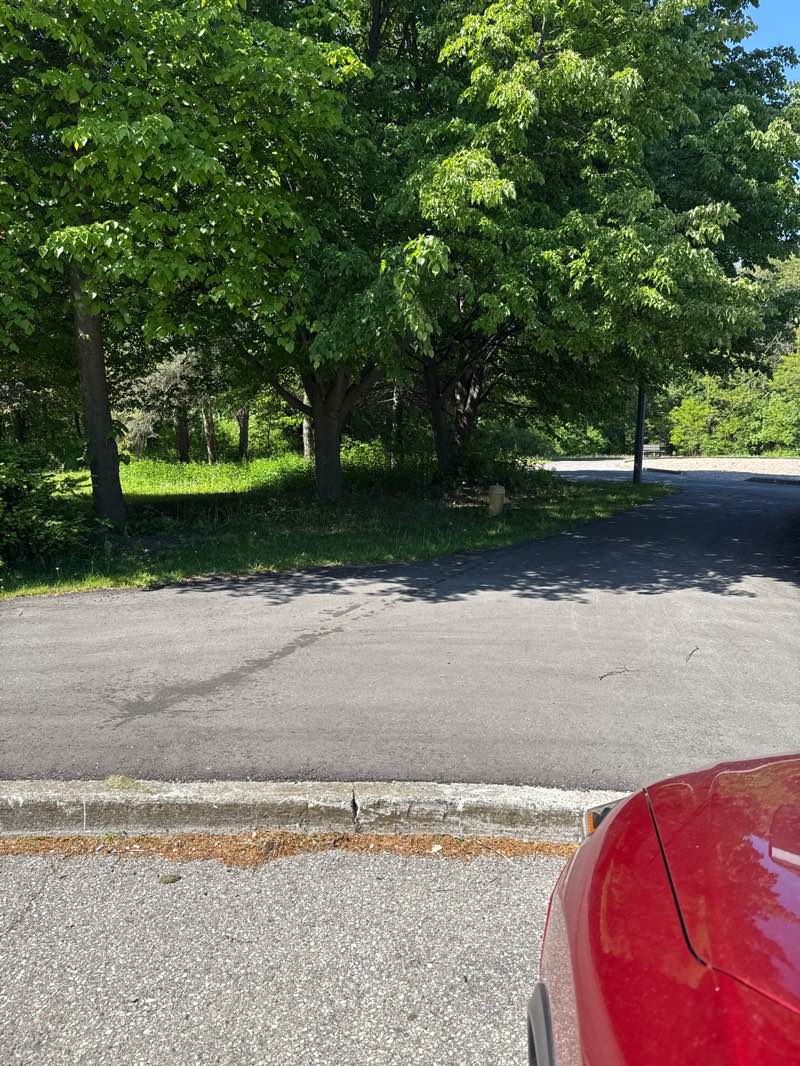 walking near me in Hermitage Park in summer