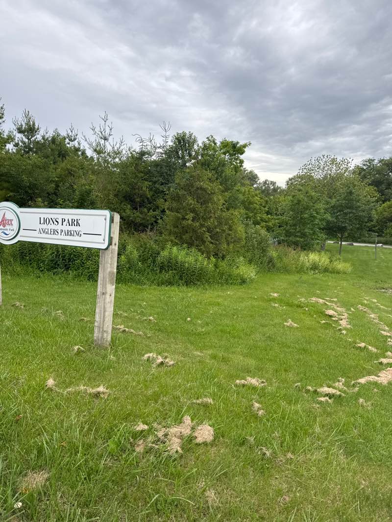 walking near me in Ajax Lion's Park in summer