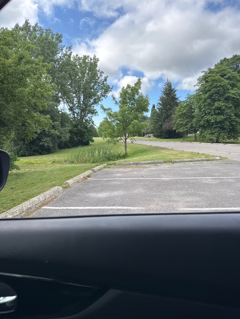 walking near me in D'Hillier Park in summer