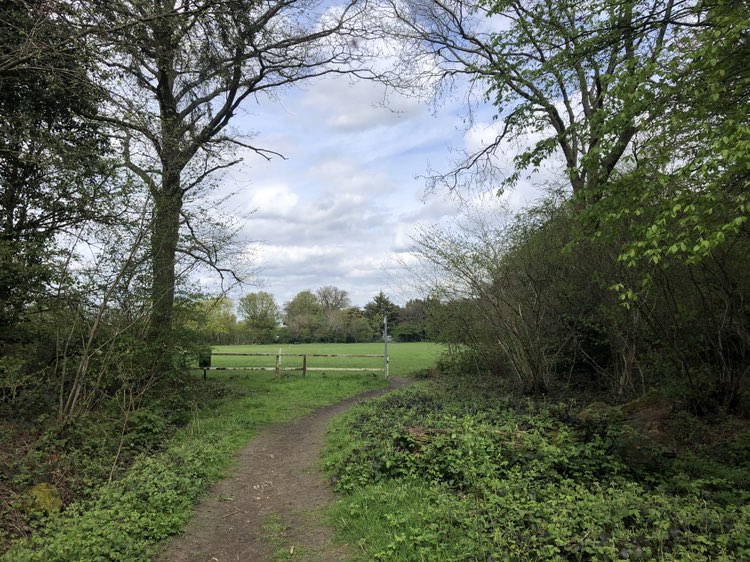 walking near me in Ladyshot Recreation Ground in spring