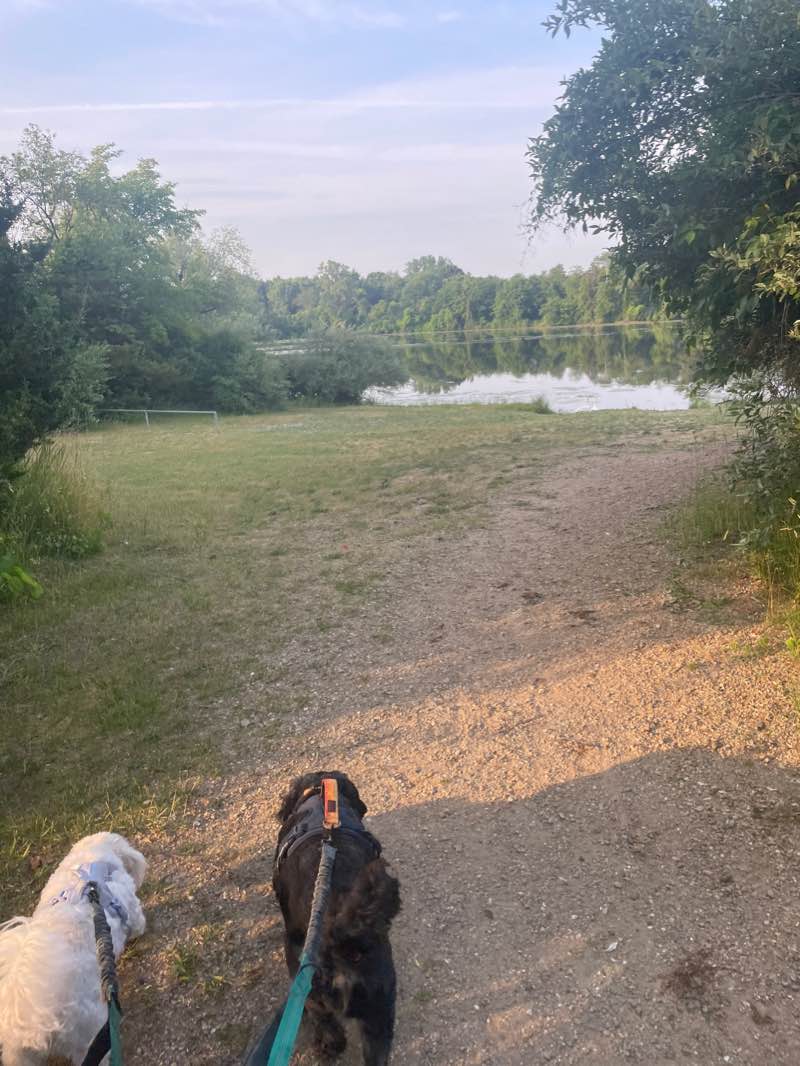 walking near me in Hubbell Pond Park in winter