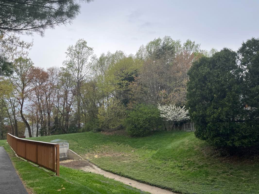 walking near me in Freedom Hill Park in spring