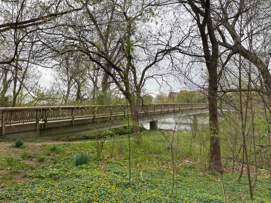 walking near me in Gateway Park in spring