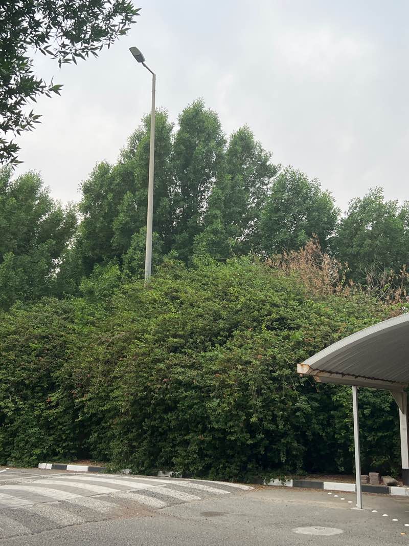 walking near me in Zoo park in autumn