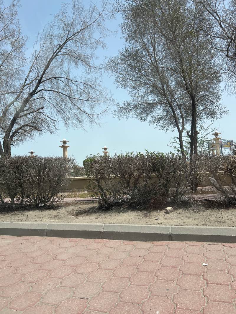 walking near me in Jleeb al-Shuyoukh Park - Block 11 in spring