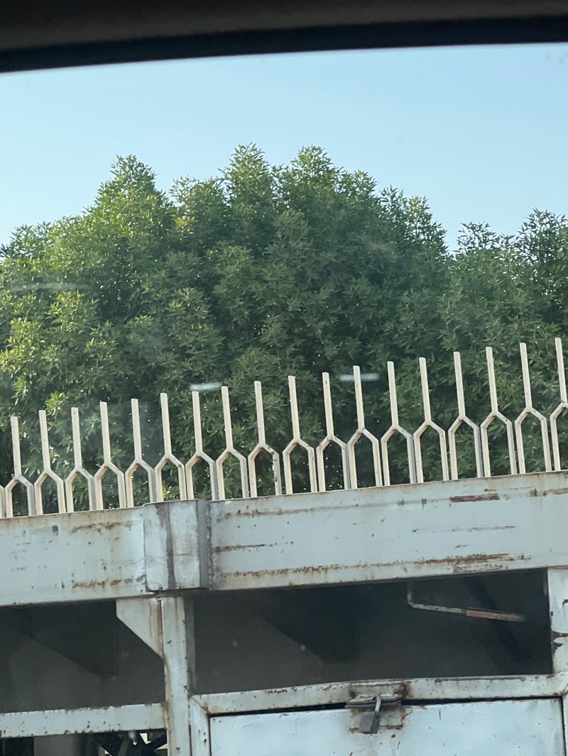 walking near me in Touristic Garden in autumn