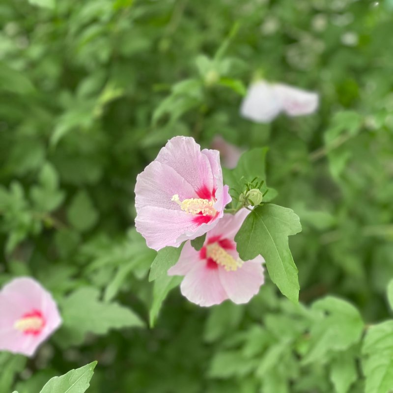 🇰🇷 검은여 post 2