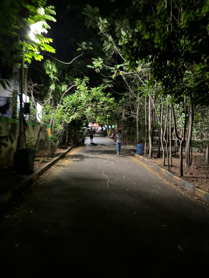 walking near me in Horticultural Society Garden in winter