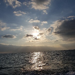 한인수 팀장 profile