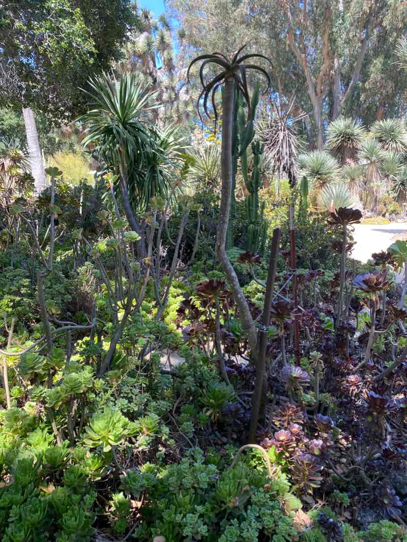 walking near me in Kite Hill Park in winter