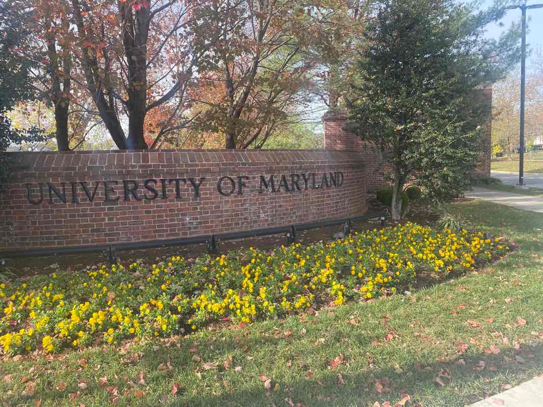 walking near me in Lake Artemesia Park in winter