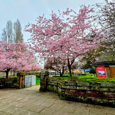 KOSTEK1910RTS post 2