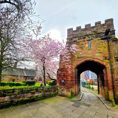 KOSTEK1910RTS post 3