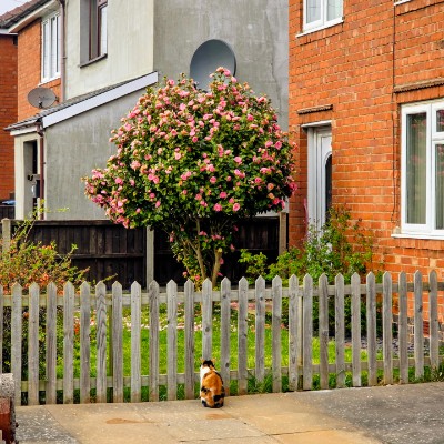 KOSTEK1910RTS post 1