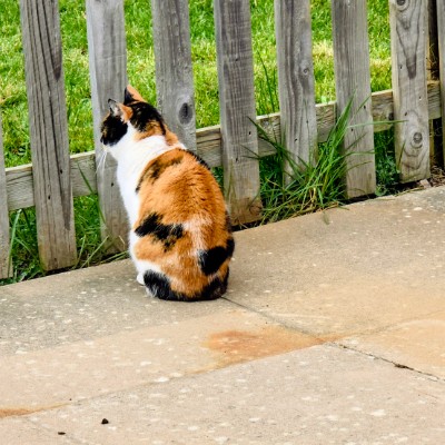 KOSTEK1910RTS post 3