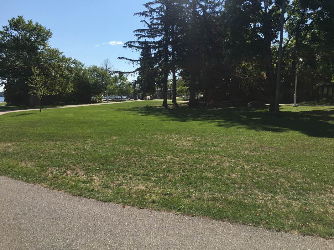 walking near me in Clinch Park in winter