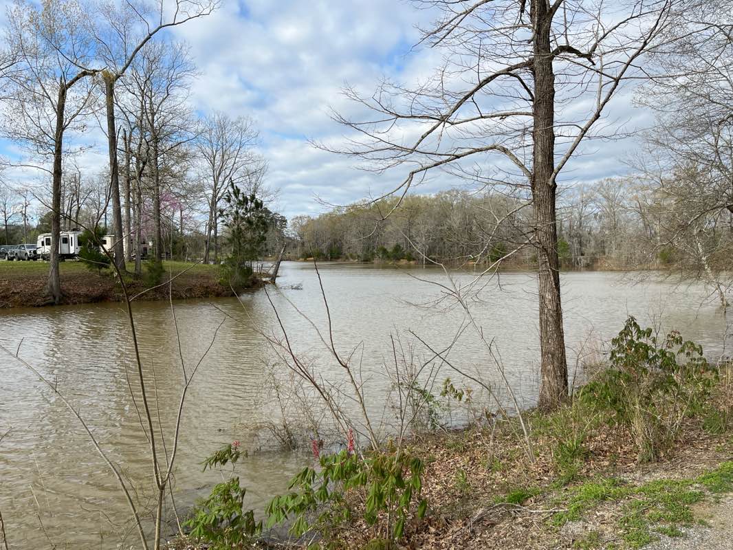 walking near me in Foscue Creek Park in spring