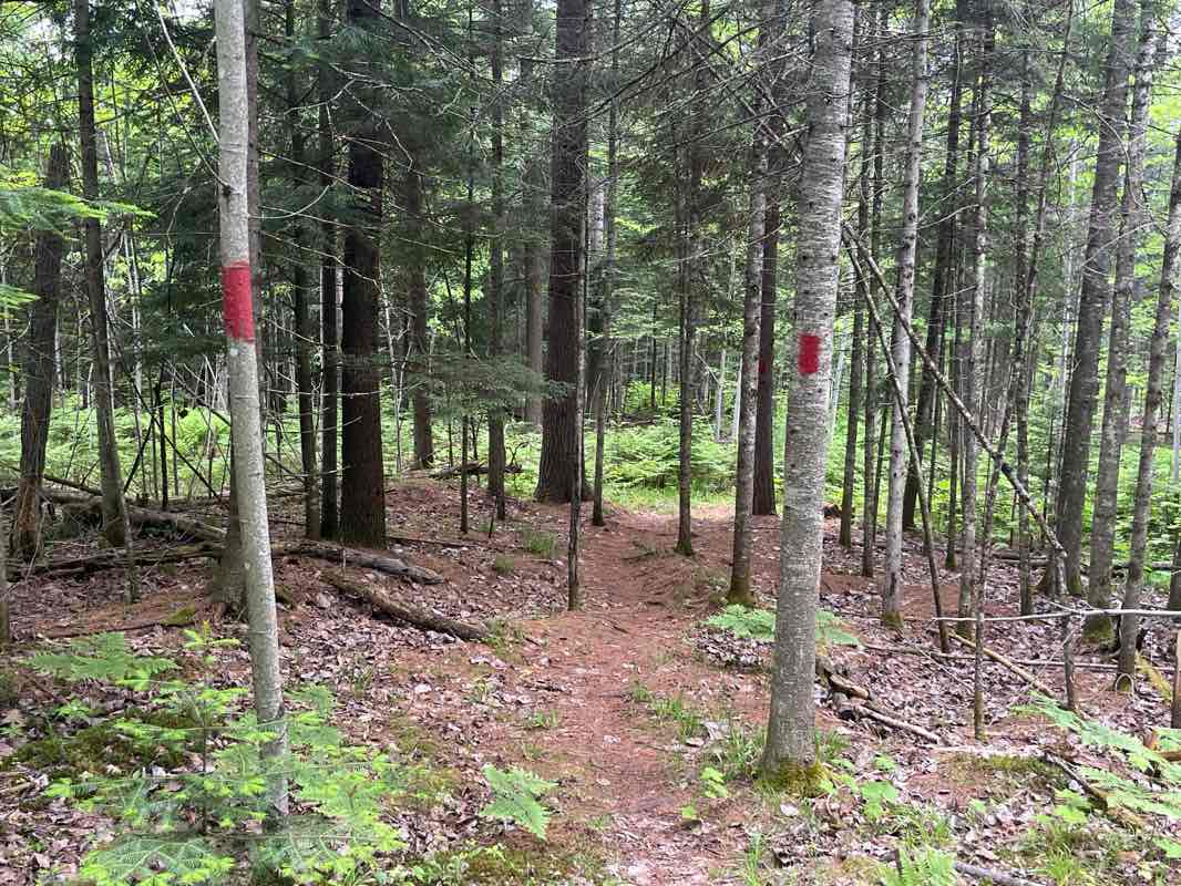 walking near me in L'Anse Township Park in summer