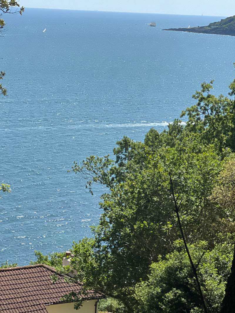 walking near me in Trefusis Park in winter