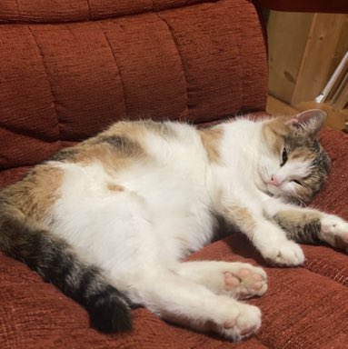 Ильмир profile