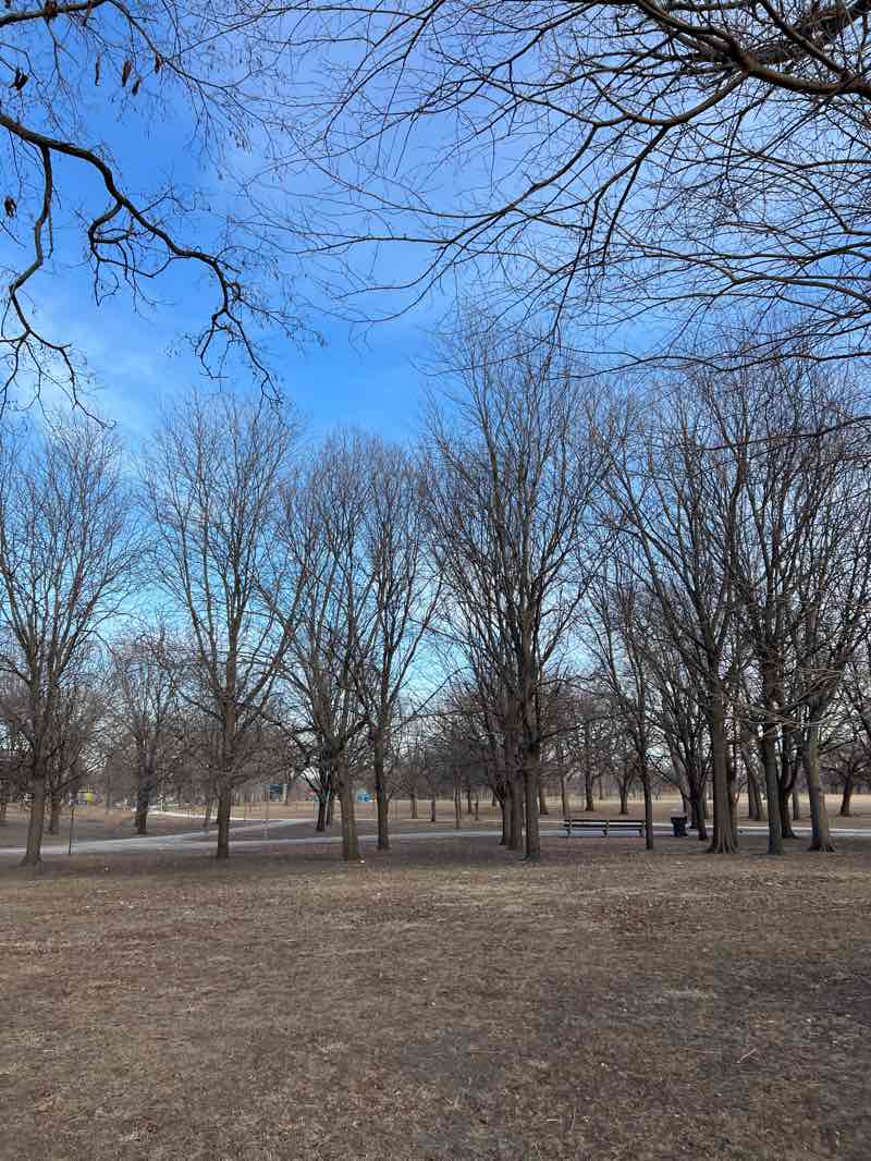 walking near me in Riis Park in winter