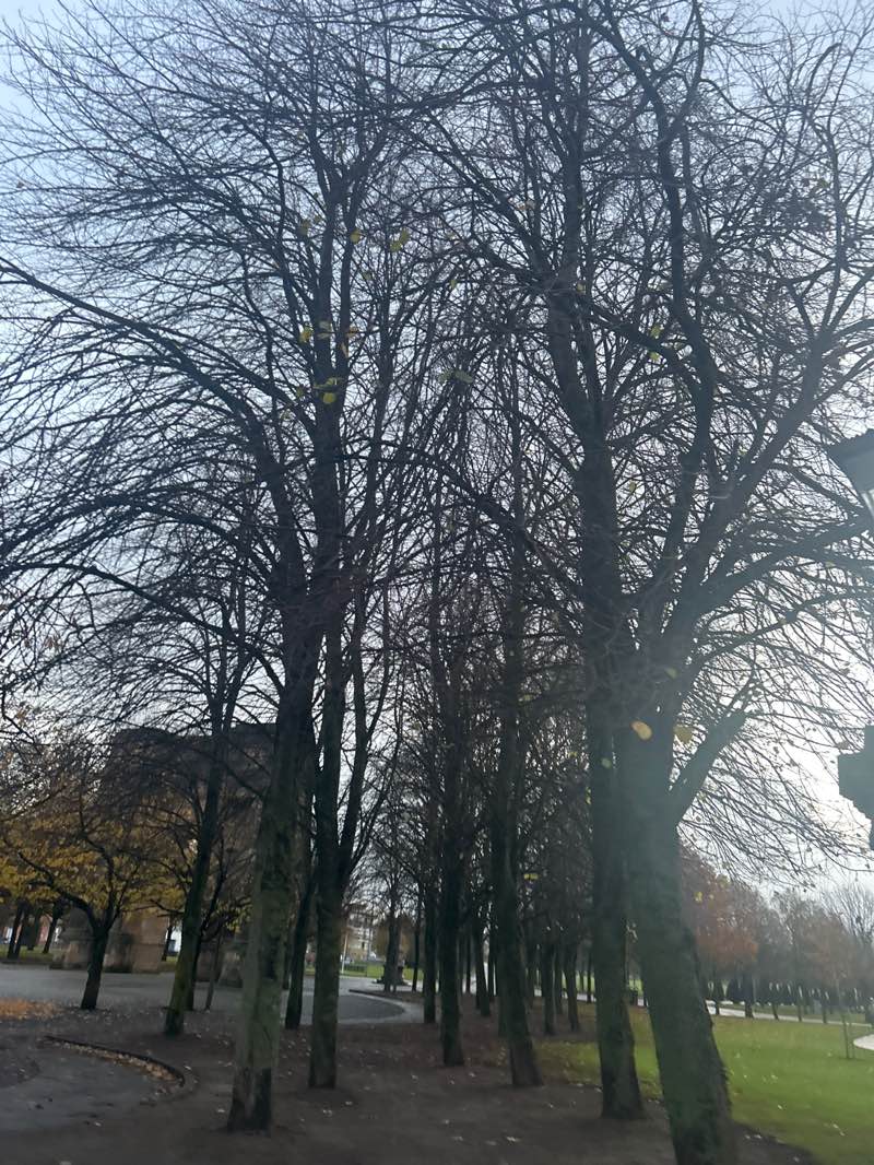 walking near me in Glasgow Green in autumn