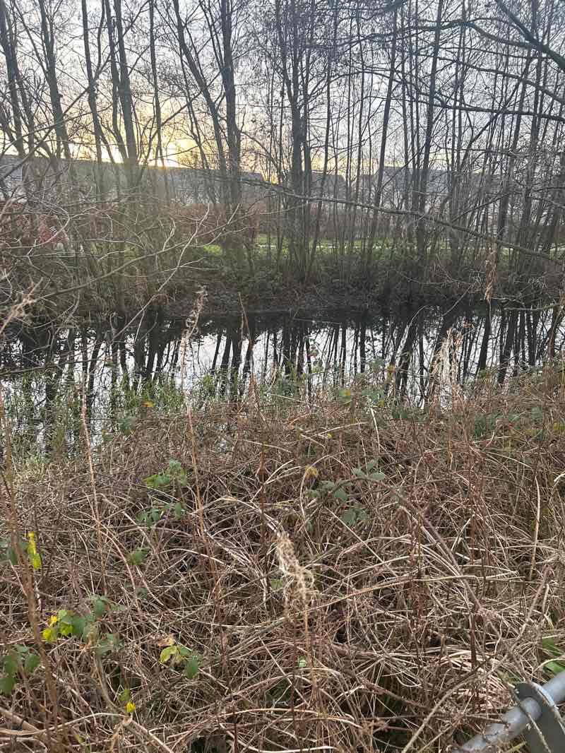 walking near me in Clyde View Park in winter