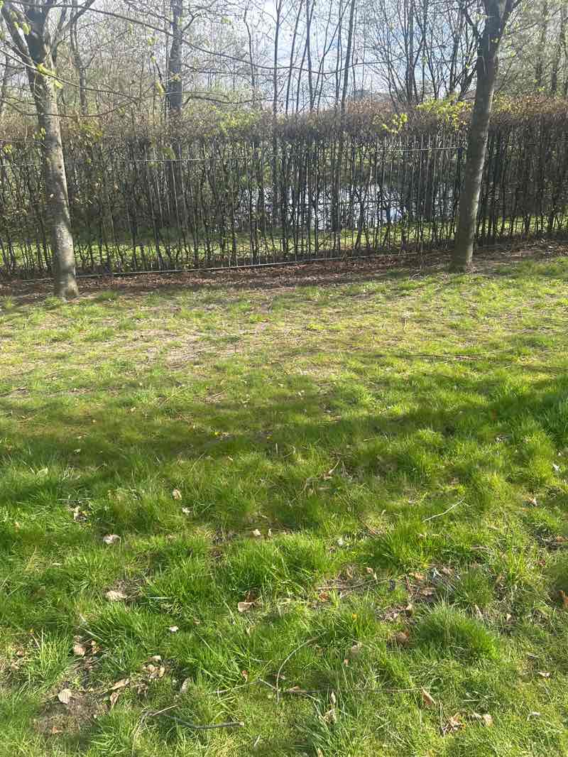 walking near me in Clyde View Park in spring