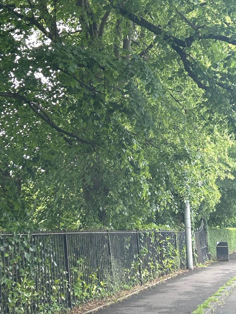 walking near me in Overtoun Park in spring