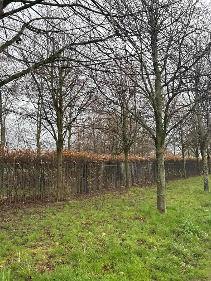 walking near me in Clyde View Park in spring