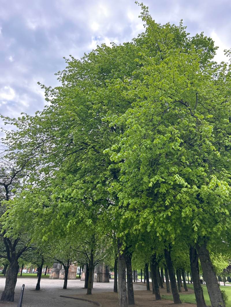 walking near me in Glasgow Green in spring