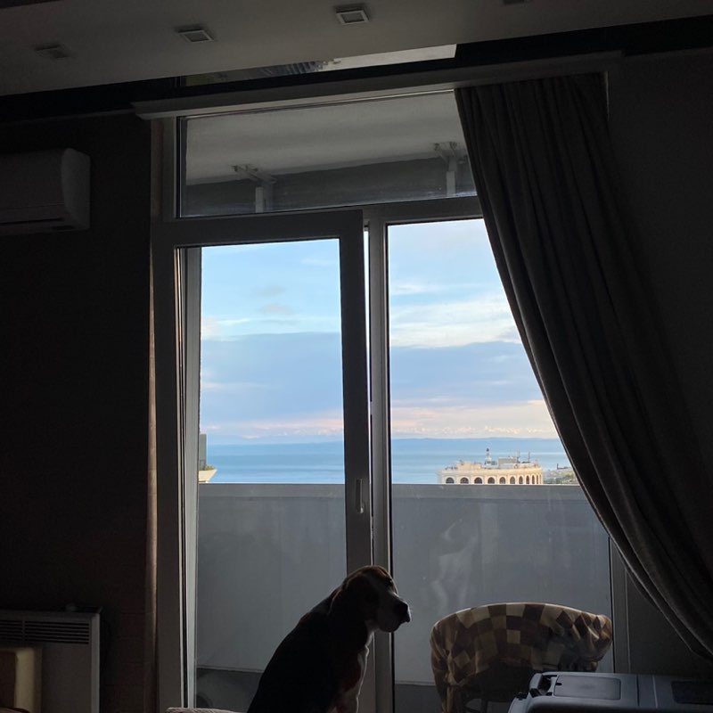 Igor Nekrasov post 2