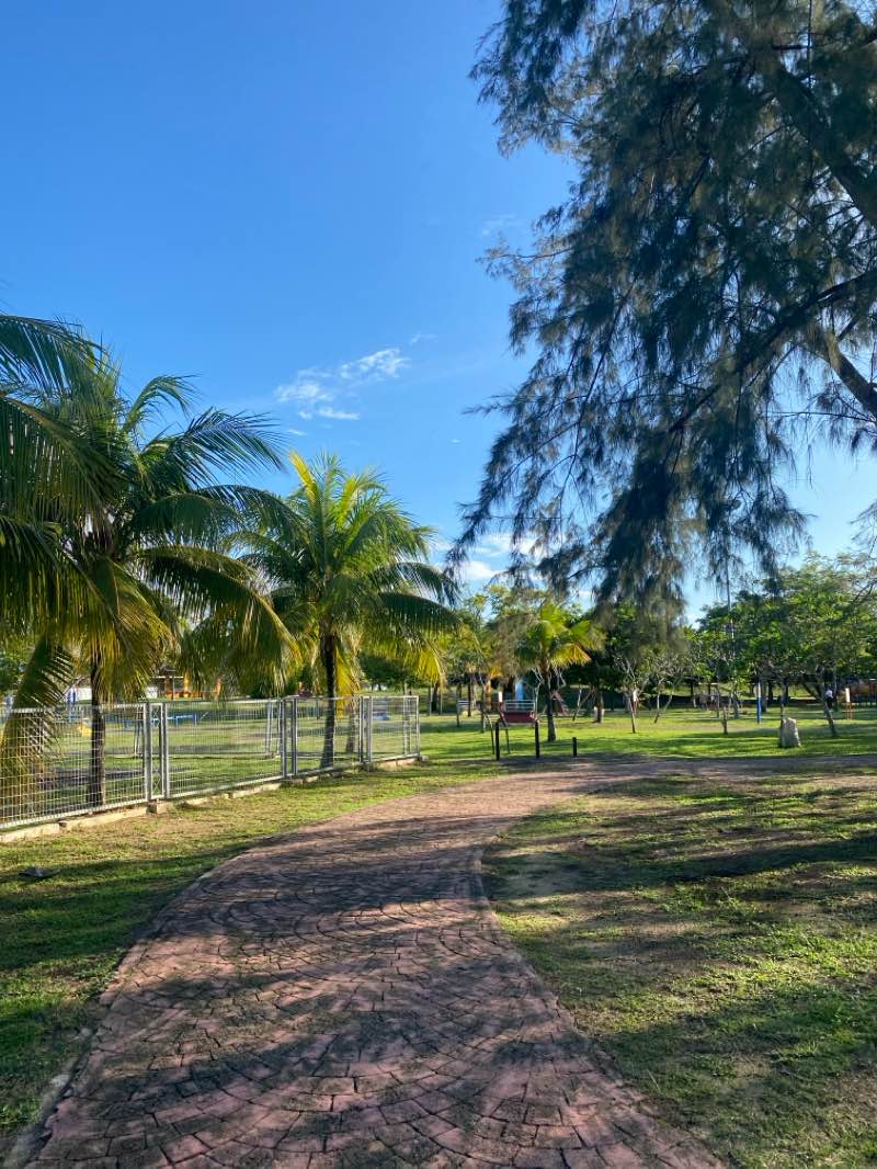 walking near me in Sura Jetty Recreation Park in winter