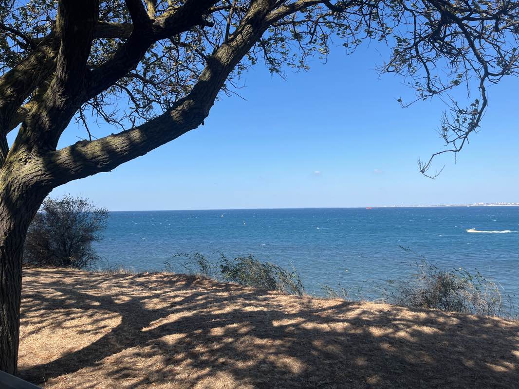 walking near me in сквер имени И.В. Гудовича in winter