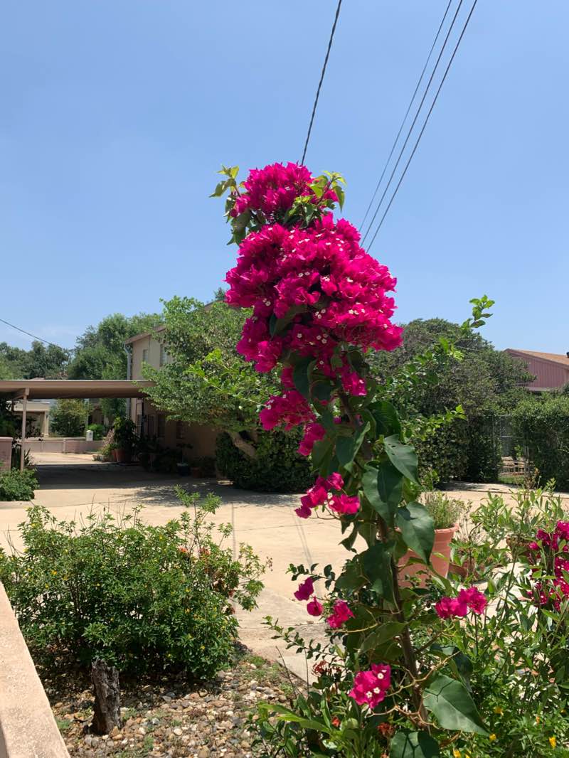 walking near me in Slaughter Park in winter