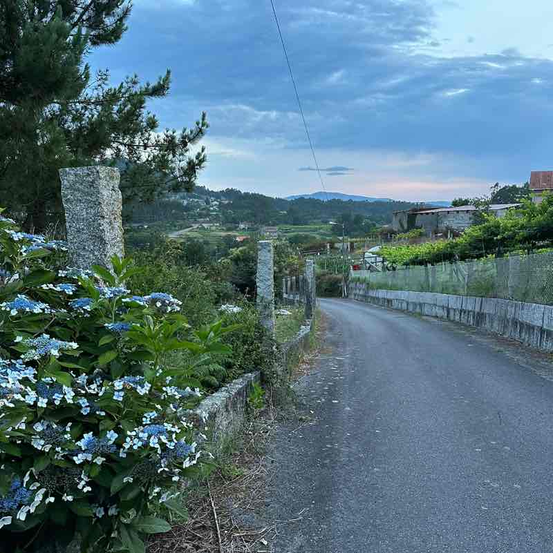 Anastasiya Blahaya post 2