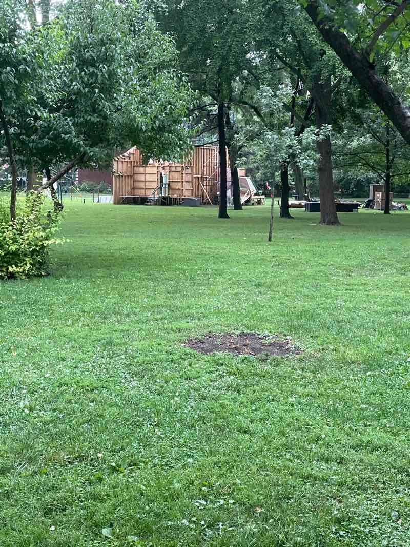 walking near me in Austin Gardens Park in summer