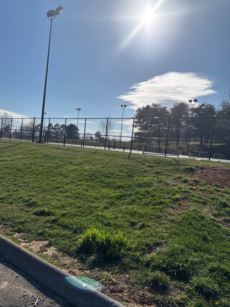 walking near me in Rogersville Park in spring