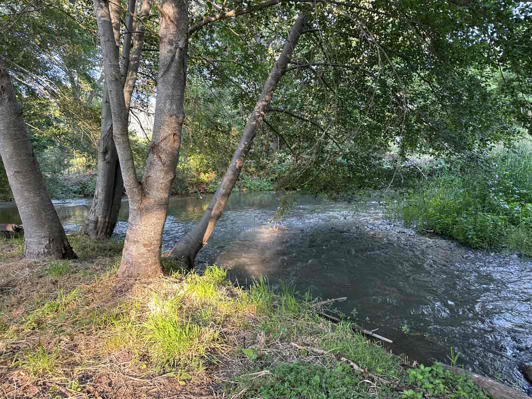 walking near me in Kestrel Property in winter