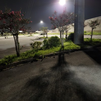 Erasmo Castro post 3