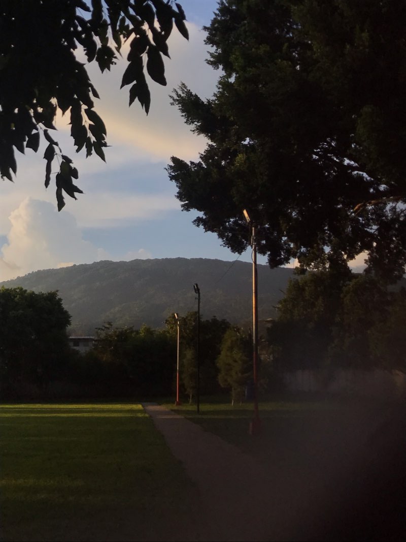 walking near me in Parque San Antonio Las Palmeras in winter