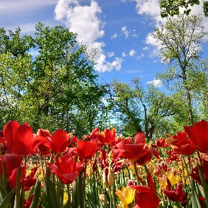 Manuela Mezzela profile